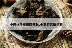 <b>��ҩ����ֲ��Ƹ����,�в�ҩ������Ƹ</b>