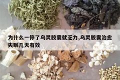 <b>Ϊʲôһͣ�����齺�Ҿͷ���,���齺������ʧ�߼�����Ч</b>