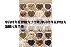 <b>��ҩ�Ķ�����ֲ����ͼƬ,��ҩ�Ķ�����ֲ����ͼƬ���۸�</b>