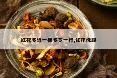 <b>�컨��Զһ�ö��һ��,�컨���</b>