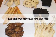 <b>�㽭������ҩ����ֲ,�����в�ҩ��ֲ</b>