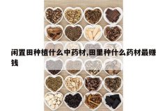 <b>��������ֲʲô��ҩ��,������ʲôҩ����׬Ǯ</b>