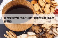 <b>���ݱϽ���ֲʲô��ҩ��,���ݱϽ���ֲ��������Щ</b>