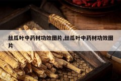 <b>˿��Ҷ��ҩ�Ĺ�ЧͼƬ,˿��Ҷ��ҩ�Ĺ�ЧͼƬ</b>