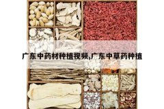 <b>�㶫��ҩ����ֲ��Ƶ,�㶫�в�ҩ��ֲ</b>