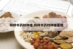 <b>������ҩ����ֲ,������ҩ����ֲ����</b>