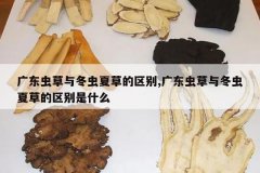 <b>�㶫����붬���Ĳݵ�����,�㶫����붬���Ĳݵ�������ʲô</b>