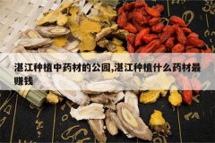 <b>տ����ֲ��ҩ�ĵĹ�԰,տ����ֲʲôҩ����׬Ǯ</b>