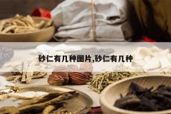 <b>ɰ���м���ͼƬ,ɰ���м���</b>