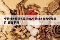 <b>��ҩ�ĸ���ҩ������Ч,��ҩ�����ƴ�ȫ��ͼƬ ��˵ ҩЧ</b>