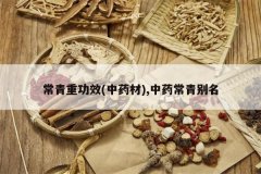 <b>�����ع�Ч(��ҩ��),��ҩ�������</b>