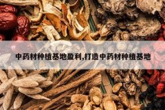 <b>��ҩ����ֲ����ӯ��,������ҩ����ֲ����</b>