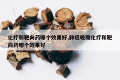 <b>���ƺͰ���ҩ�ĸ�Ч����,�ΰ����ڻ��ƺͰ���ҩ�ĸ�Ч����</b>