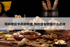 <b>���������ҩ����ֲ,�����ʺ���ֲʲôҩ��</b>