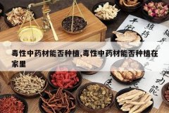 <b>������ҩ���ܷ���ֲ,������ҩ���ܷ���ֲ�ڼ���</b>