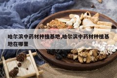 <b>��������ҩ����ֲ����,��������ҩ����ֲ����������</b>