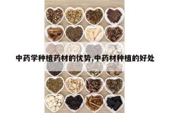 <b>��ҩѧ��ֲҩ�ĵ�����,��ҩ����ֲ�ĺô�</b>