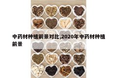 <b>��ҩ����ֲǰ���Ա�,2020����ҩ����ֲǰ��</b>