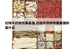 <b>׳����ҩ��Ч����ǿ,׳����ҩ��Ч����ǿ����ʲô</b>