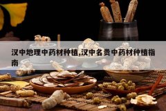 <b>���е�����ҩ����ֲ,����������ҩ����ֲָ��</b>