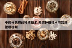 <b>��ҩ���������ֲ����,������ֲ���������������Ƶ</b>