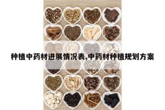 <b>��ֲ��ҩ�Ľ�չ�����,��ҩ����ֲ�滮����</b>