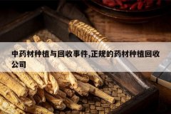 <b>��ҩ����ֲ������¼�,�����ҩ����ֲ���չ�˾</b>