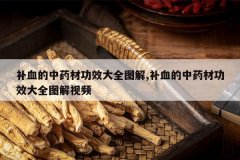 <b>��Ѫ����ҩ�Ĺ�Ч��ȫͼ��,��Ѫ����ҩ�Ĺ�Ч��ȫͼ����Ƶ</b>