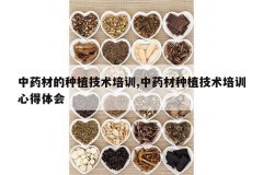 <b>��ҩ�ĵ���ֲ������ѵ,��ҩ����ֲ������ѵ�ĵ����</b>