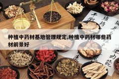 <b>��ֲ��ҩ�Ļ��ع����涨,��ֲ��ҩ����Щҩ��ǰ����</b>