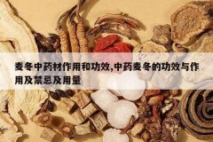 <b>����ҩ�����ú͹�Ч,��ҩ�󶬵Ĺ�Ч�����ü����ɼ�����</b>