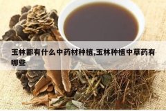 <b>���ֶ���ʲô��ҩ����ֲ,������ֲ�в�ҩ����Щ</b>