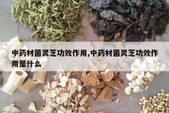 <b>��ҩ�ľ���֥��Ч����,��ҩ�ľ���֥��Ч������ʲô</b>