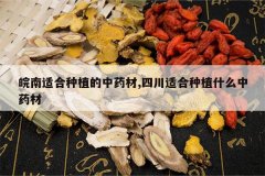 <b>�����ʺ���ֲ����ҩ��,�Ĵ��ʺ���ֲʲô��ҩ��</b>