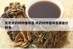 <b>��ƽ��ҩ����ֲ��Ŀ,��ҩ����ֲ��Ŀ��ҵ�ƻ���</b>