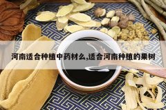 <b>�����ʺ���ֲ��ҩ��ô,�ʺϺ�����ֲ�Ĺ���</b>