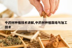 <b>��ҩ����ֲ��������,��ҩ����ֲ������ӹ�����</b>