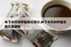 <b>������ҩ����ֲģʽ̽��,������ҩ����ֲʵʩ��������</b>