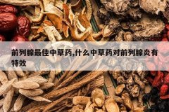 <b>ǰ��������в�ҩ,ʲô�в�ҩ��ǰ����������Ч</b>