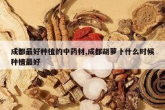 <b>�ɶ������ֲ����ҩ��,�ɶ����ܲ�ʲôʱ����ֲ���</b>