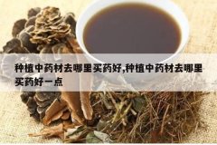 <b>��ֲ��ҩ��ȥ������ҩ��,��ֲ��ҩ��ȥ������ҩ��һ��</b>