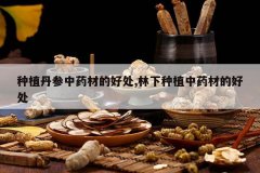 <b>��ֲ������ҩ�ĵĺô�,������ֲ��ҩ�ĵĺô�</b>