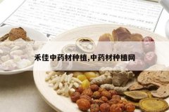 <b>�̼���ҩ����ֲ,��ҩ����ֲ��</b>