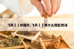 <b>����ψ�o��ͼƬ,����ψ�o��ʲô��������</b>