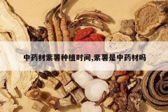 <b>��ҩ��������ֲʱ��,��������ҩ����</b>