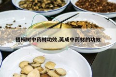 <b>��ͩ����ҩ�Ĺ�Ч,Ӣ����ҩ�ĵĹ�Ч</b>