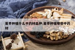 <b>�ļ���ֲʲô��ҩ��Ʒ��,�ļ���ֲ��Щ��ҩ��</b>