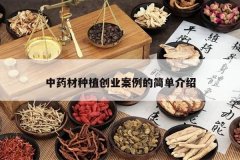 <b>��ҩ����ֲ��ҵ�����ļ򵥽���</b>