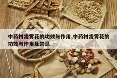 <b>��ҩ���������Ĺ�Ч������,��ҩ���������Ĺ�Ч�����ü�����</b>