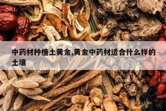 <b>��ҩ����ֲ���ƽ�,�ƽ���ҩ���ʺ�ʲô��������</b>